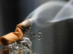 cigar2